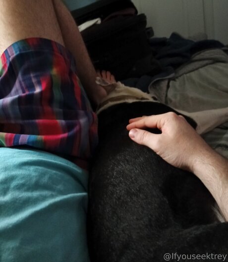 Ifyouseektreyfree high quality star gallery