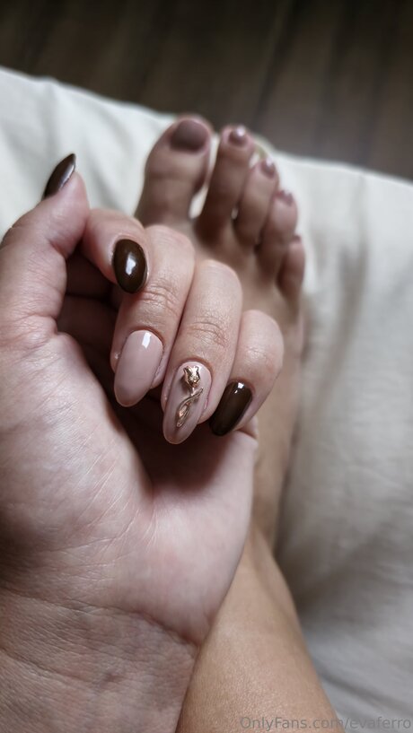 Evaferro star beautiful galleries