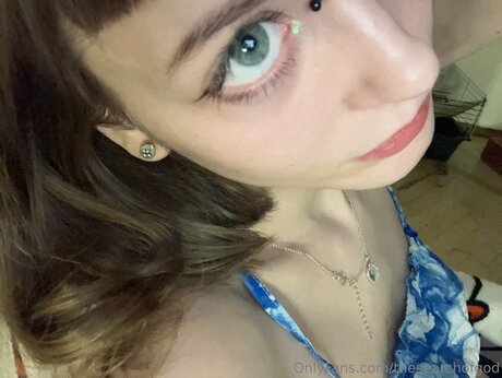 Thesearchofgod pretty star archive