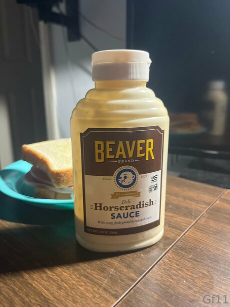 Mwebster6 free pornstar picture