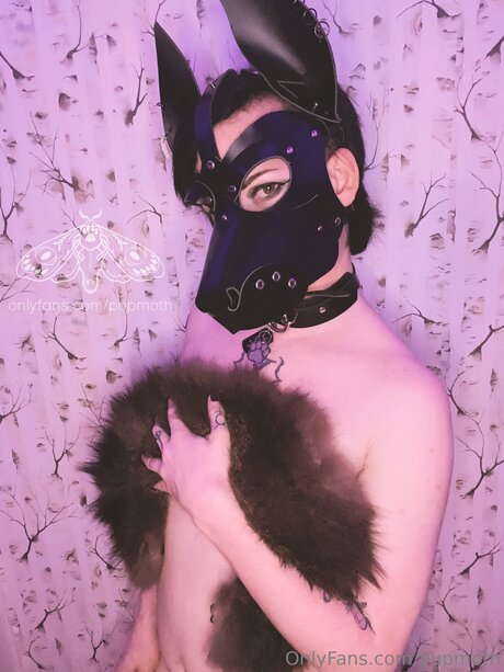 Pupmoth nice star images