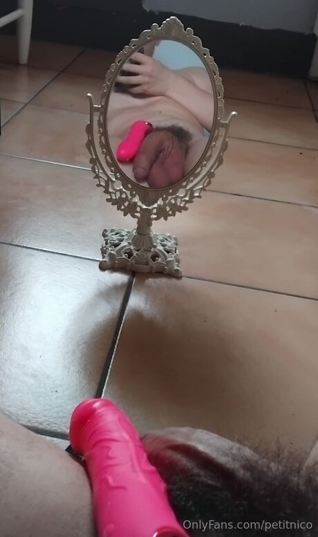 Petitnico perfect model images