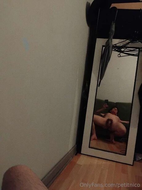 Petitnico model art galleries