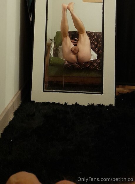 Petitnico top model image