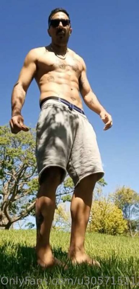 Delta Goose beautiful star archive