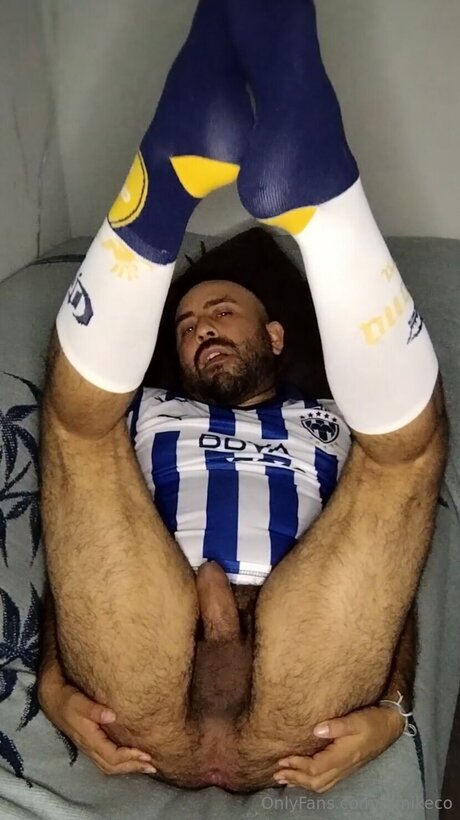 Elmikeco high quality model img