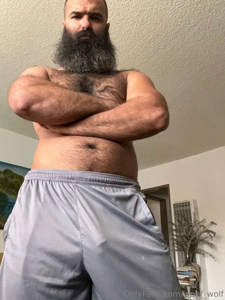 Woof Wolf nude pornstar picture