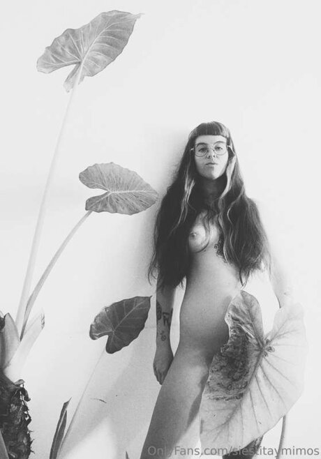 Siestitaymimos model best images