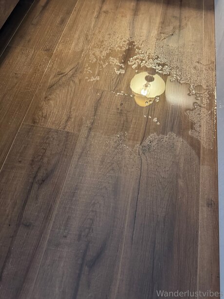 Wanderlustvibes nice model images