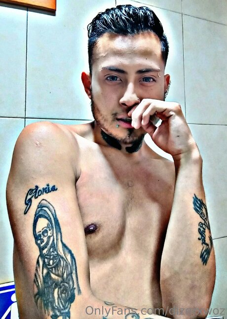 Dizerxwoz pornstar image