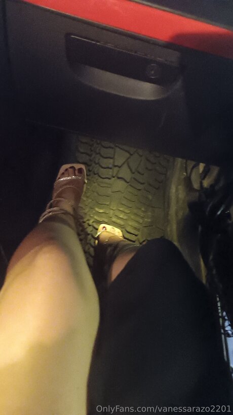 Vanessarazo2201 nude pornstar galleries