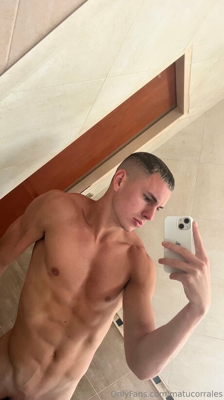 Matucorrales adult model photo