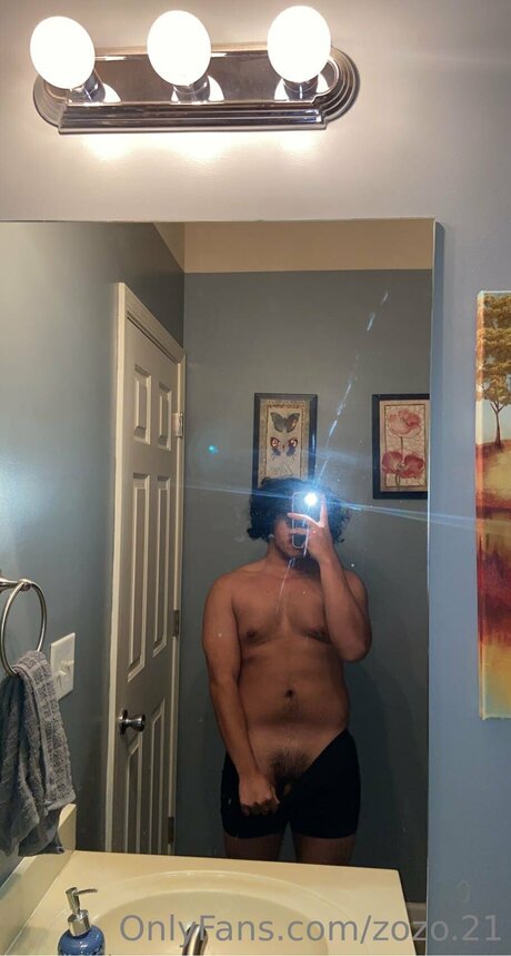 Zozo 21 art star img