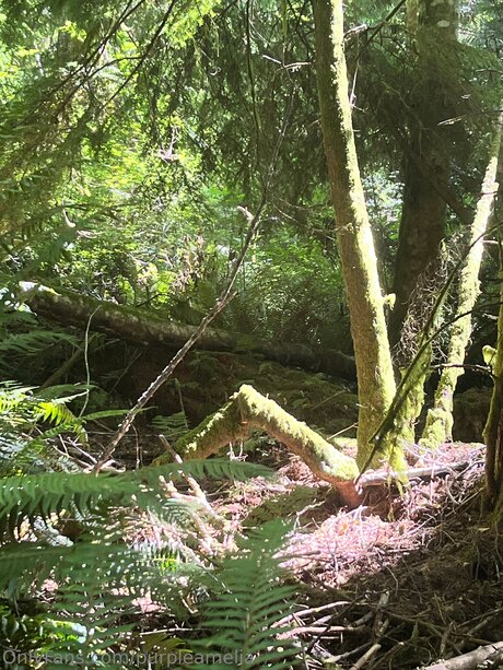 hijab onlyfans hot porn galleries