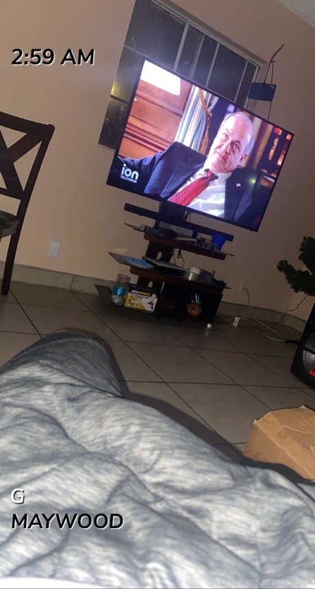 Dnt7trip pornstar erotic archive