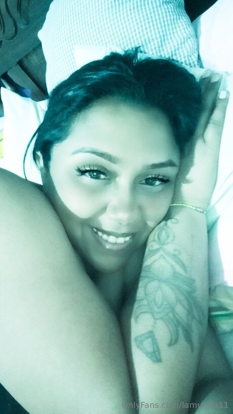 Lamulata11 model art image