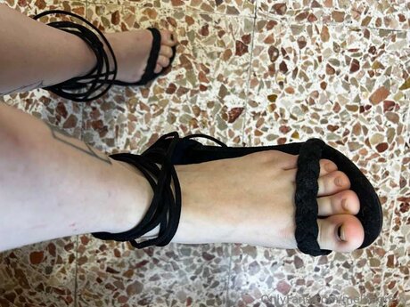 Melitagreyy exclusive star img