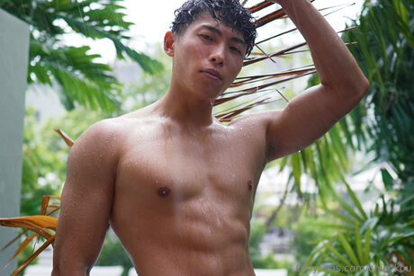 Chin Kou pornstar erotic archive