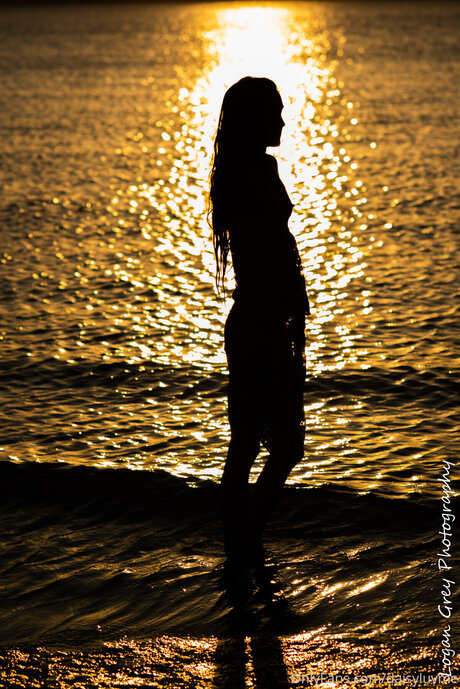 Daisyluvme high quality star gallery