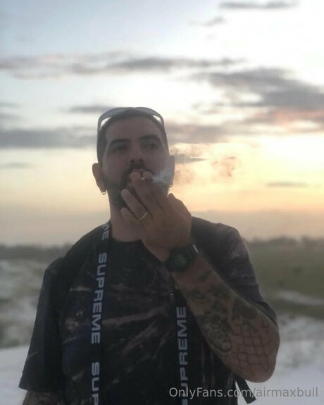 Airmaxbull model image