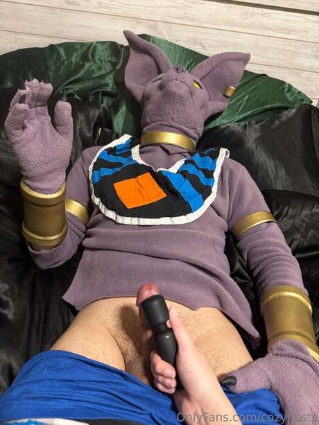 Cozyhosts beautiful pornstar galleries