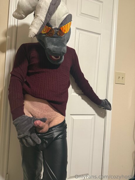 Cozyhosts model beautiful gallery