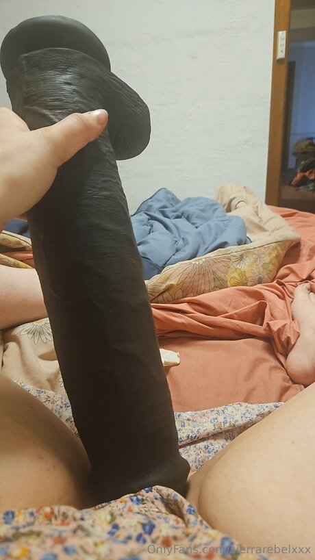 Sierrarebelxxx star free gallery