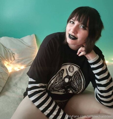 Willowchantrieri star nudes img