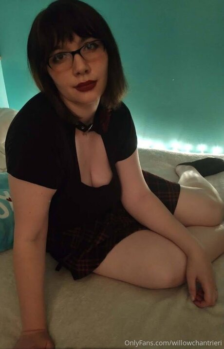 Willowchantrieri pornstar nude img