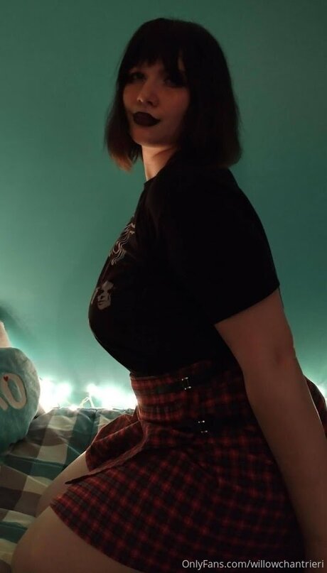 Willowchantrieri beautiful star galleries