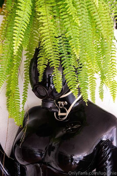 Lugathie star high quality pics