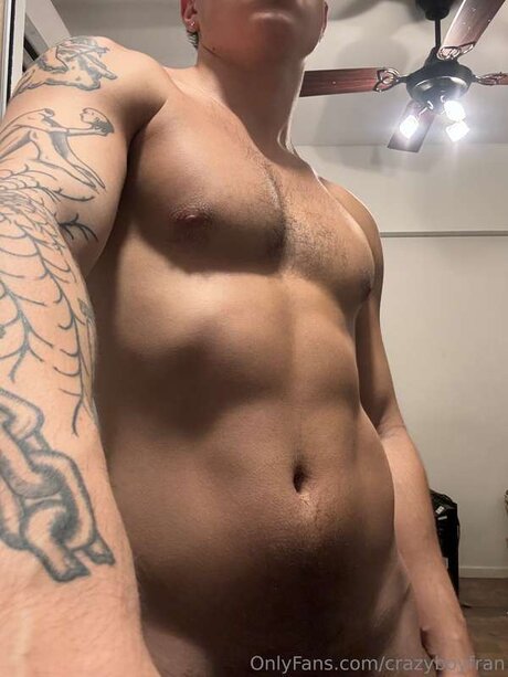 Crazyboyfran art star pic