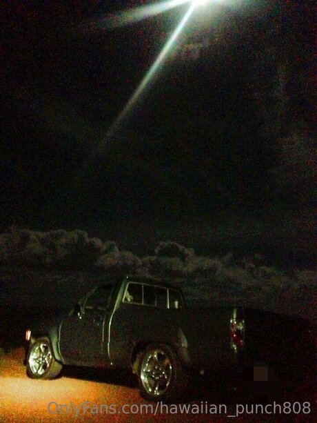 Hawaiian Punch808 model nudes archive