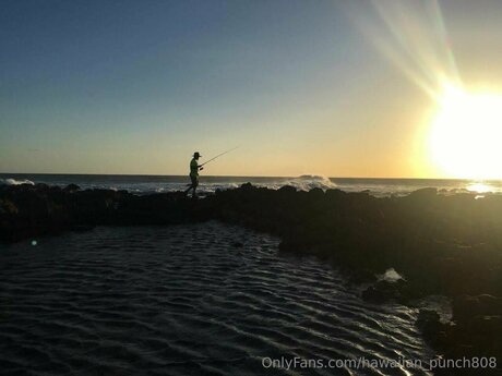 Hawaiian Punch808 nice model picture