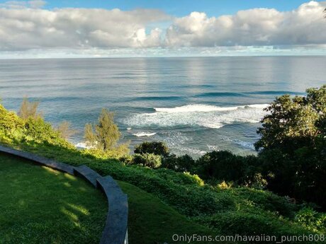 Hawaiian Punch808 pornstar adult image