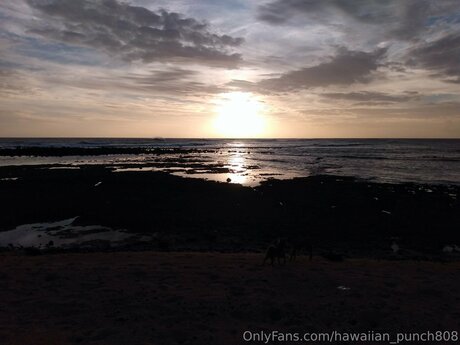 Hawaiian Punch808 star hd archive