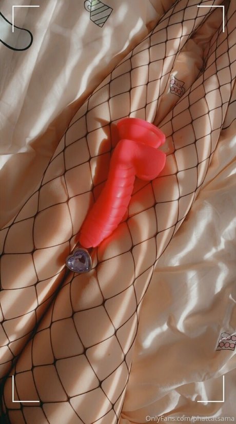 phatcatsama nude pornstar archive