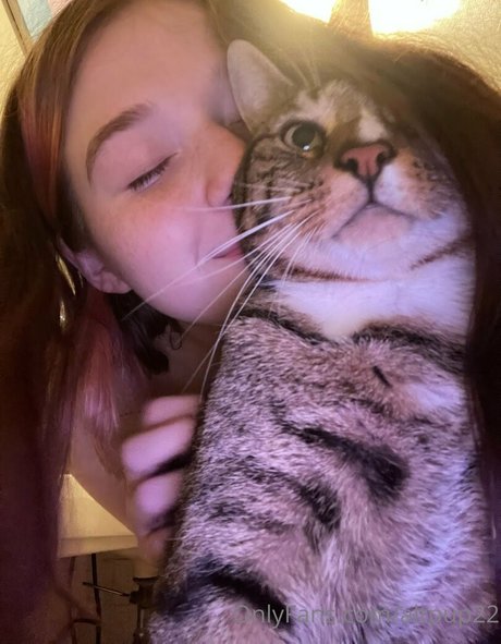 altpup22 pornstar perfect archive