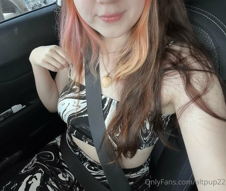 altpup22 star top photos