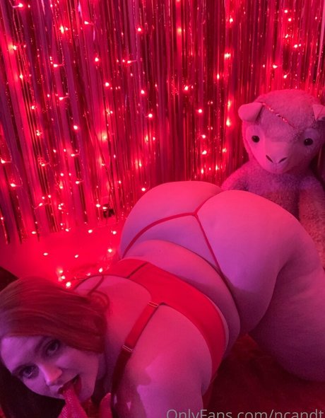 ncandt adult star photos