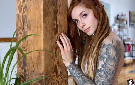 Fennek nice star photos