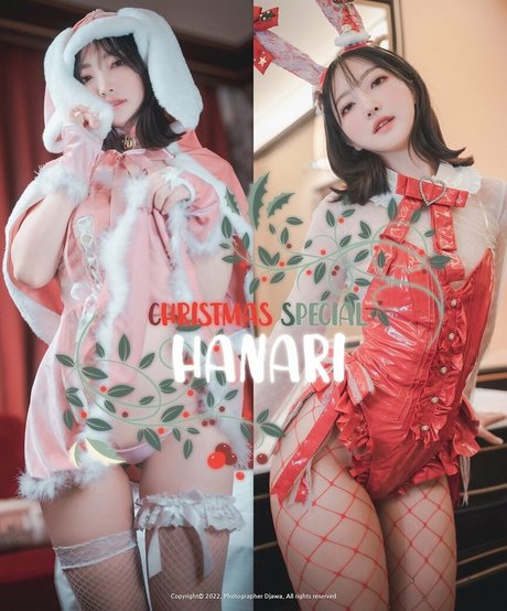 HaNaRi actress image