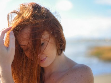 Dane Halo adult star galleries