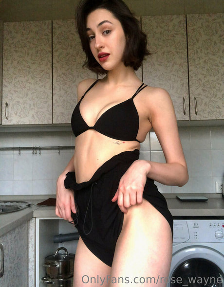 rose wayne nice star gallery