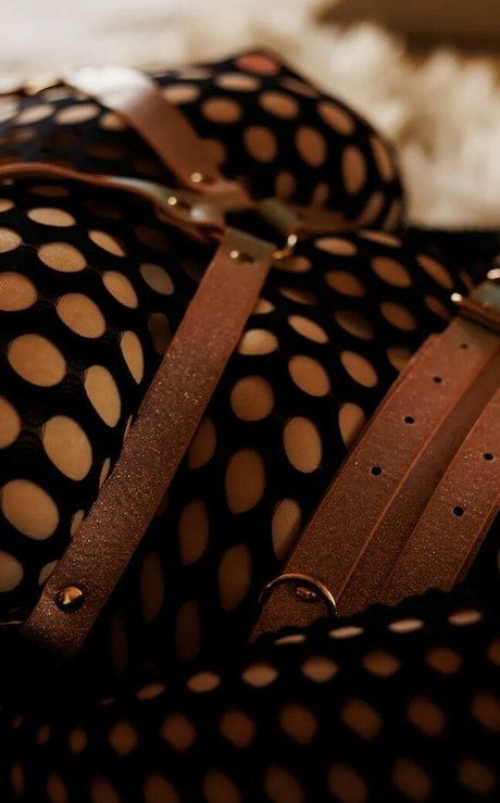 Saterra top star gallery