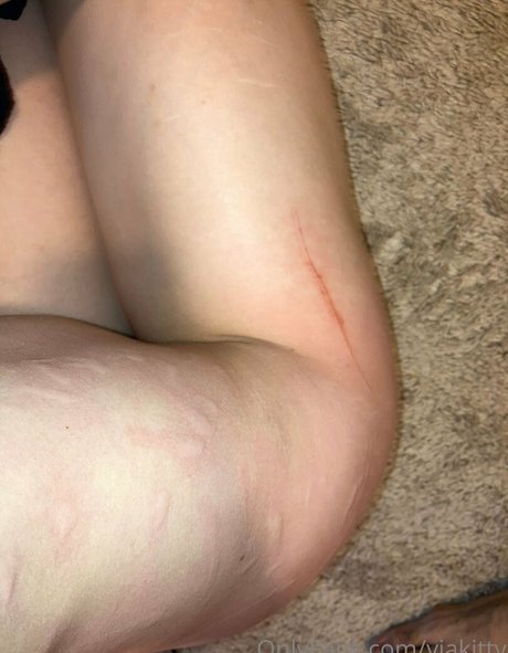 viakitty pornstar art pics