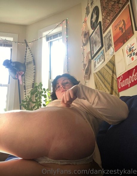dankzestykale free pornstar photo