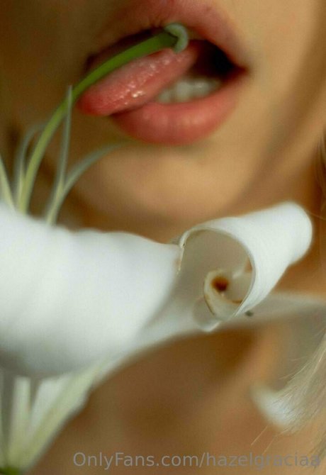 hazelgraciaa pornstar top photo