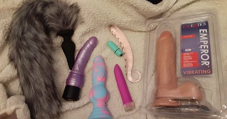 sunnyssunfree star pic