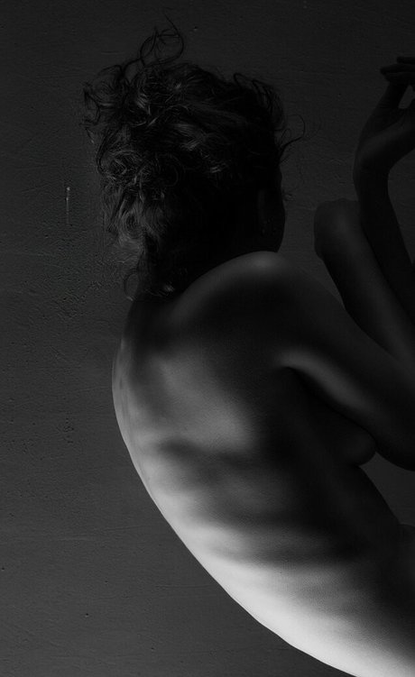 jinadaisy star best images